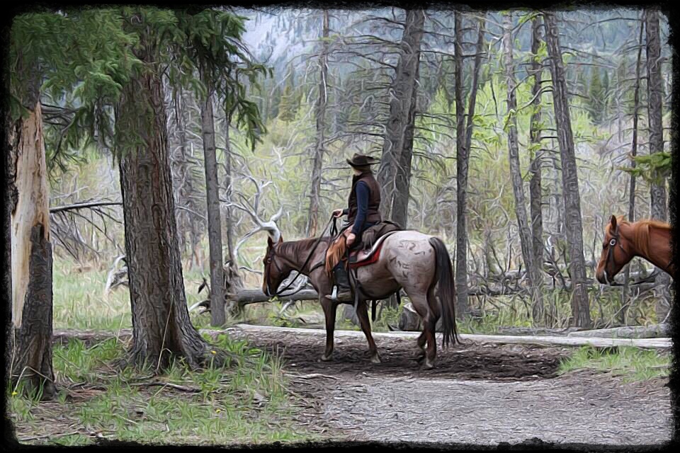 Alberta Cowboys at Banff - fine art photos for licensing
