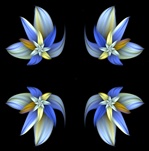 This simple repeating floral background was made from our Tawny Blue Lily fractal, in shades of blue, yellow and gold. Tile it for an unusual fabric, textile, or wallpaper design or border.
