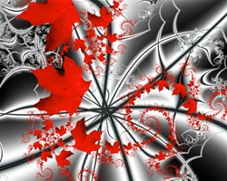 Want something a little more subtle than the Canadian flag to celebrate Canada Day? This spiral of brilliant red maple leaves against a swirly black and white background makes a bold statement.