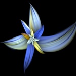 This delicate blue and yellow blossom strongly resembles a day lily, violet, or orchid, but it's entirely the result of mathematical number crunching!