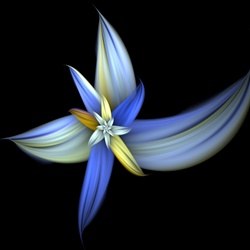This delicate blue and yellow blossom strongly resembles a day lily, violet, or orchid, but it's entirely the result of mathematical number crunching!