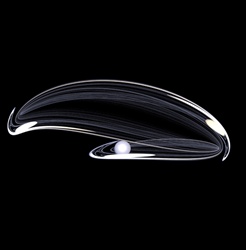 A remarkably realistic looking translucent oyster shell, complete with glittering pearl, rests on a deep black background. Another example of fractal art emulating the natural world!