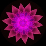 This mandala-like fractal daisy has strong radial symmetry and translucent magenta petals around a glowing violet center.