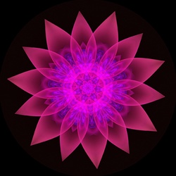 This mandala-like fractal daisy has strong radial symmetry and translucent magenta petals around a glowing violet center.