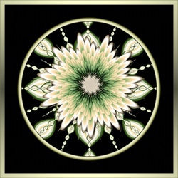 This pale cream flower with a hint of green at its center resembles a chrysanthemum. It sits on a black ground surrounded by a metallic frame and would make an outstanding focal point for a poster.