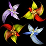 This lovely fractal contains sweeping radial curves strongly suggestive of flower petals, such as lilies or violets.