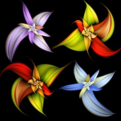 This lovely fractal contains sweeping radial curves strongly suggestive of flower petals, such as lilies or violets.