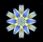 This isn't really a mandala, but it does have strong radial symmetry, and the delicate blue and cream petal shapes of this fractal kaleidoscope lend it an organic star flower feel.