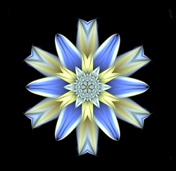 This isn't really a mandala, but it does have strong radial symmetry, and the delicate blue and cream petal shapes of this fractal kaleidoscope lend it an organic star flower feel.