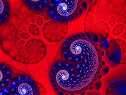 Named for the fractal formula that creates these round cranial shapes, and their tree-branching behaviour, this image features bold reds and blues.