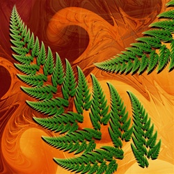 Ferns or cedar boughs appear against bark or a wood like maple or mahogany in this abstract fractal with naturalistic motifs.